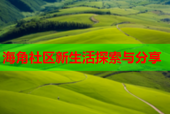 海角社区新生活探索与分享