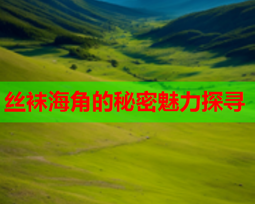 丝袜海角的秘密魅力探寻  第2张