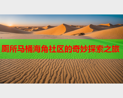 厕所马桶海角社区的奇妙探索之旅  第1张