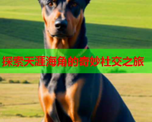 探索天涯海角的奇妙社交之旅  第1张