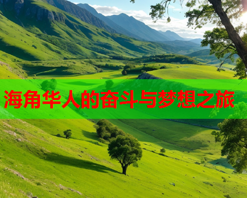 海角华人的奋斗与梦想之旅  第1张