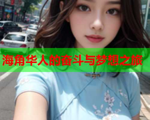 海角华人的奋斗与梦想之旅  第2张